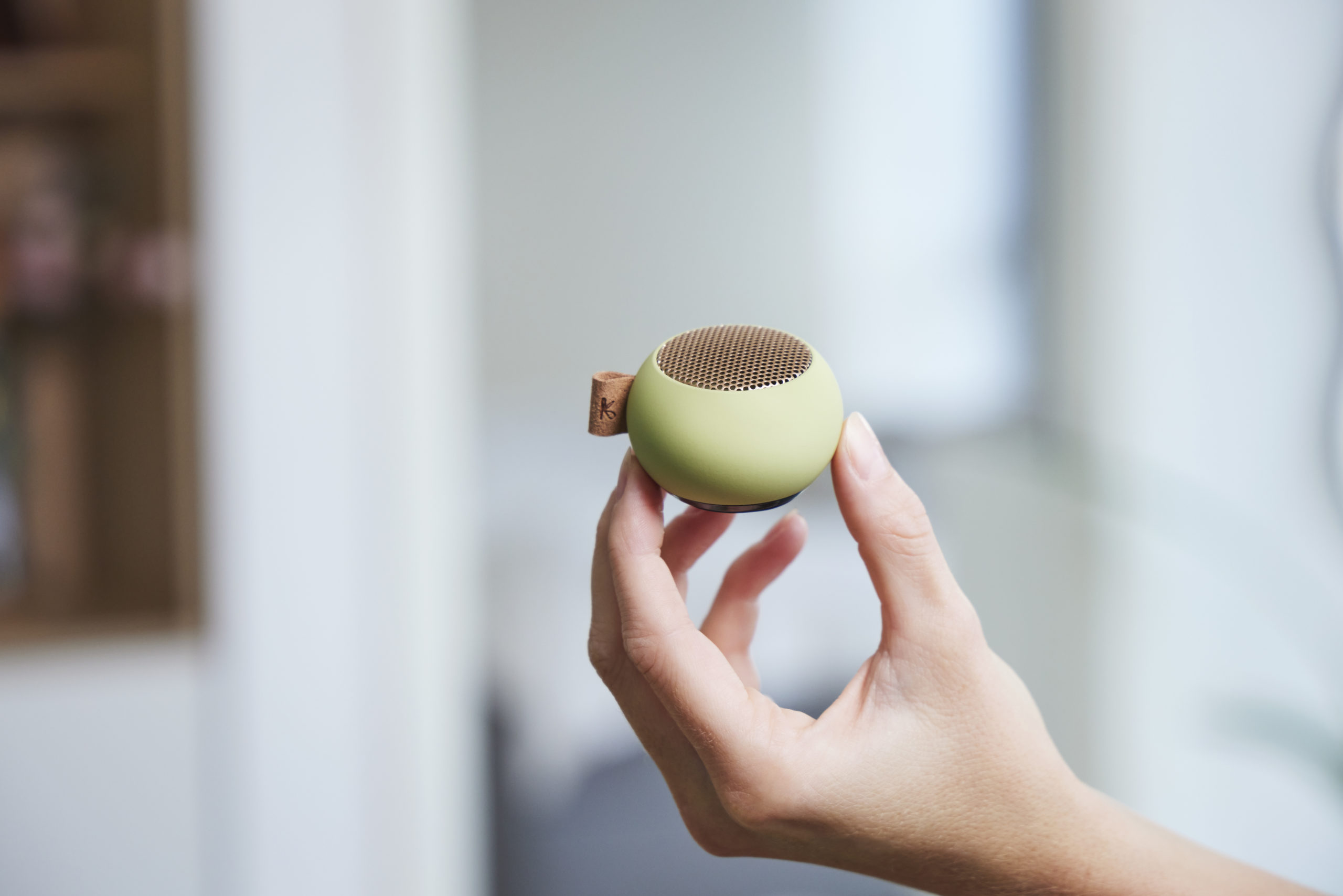 Design Bluetooth Speaker