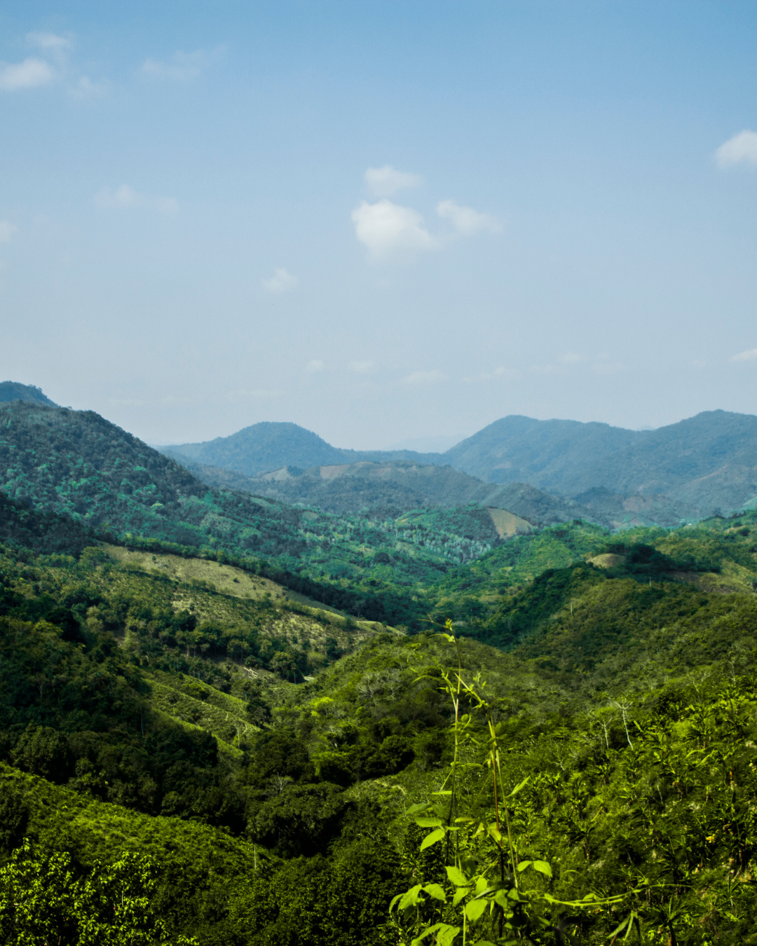 view of mountains with a lot of greenery